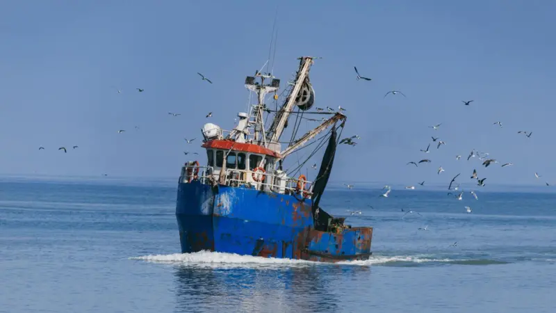 A blue fishing boat at sea with gulls flying around