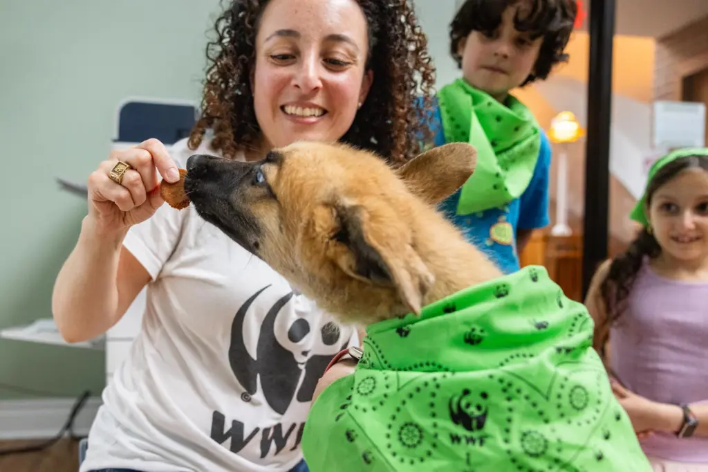 Julia Kurnik feeds a dog a treat made from invasive carp at the Humane Rescue Alliance in Washington DC