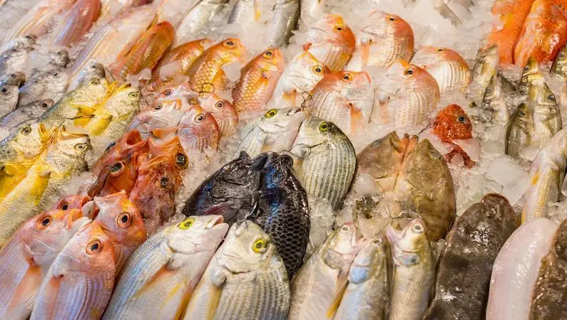 A generic picture of seafood