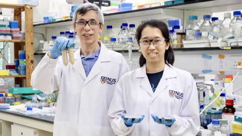 Prof Yang Daiwen (left) and Ms Hong Hui Yee (right) from the NUS Department of Biological Sciences