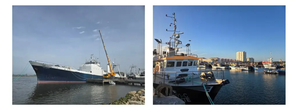 fishing boats large and small