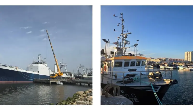 fishing boats large and small