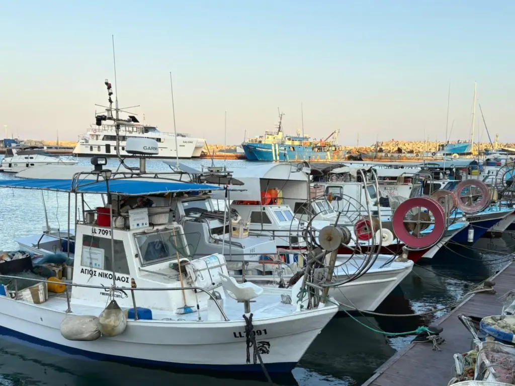 Small fishing boats lined up at a pontoon