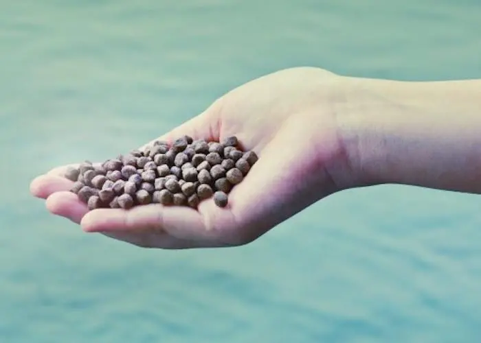 Fishmeal
