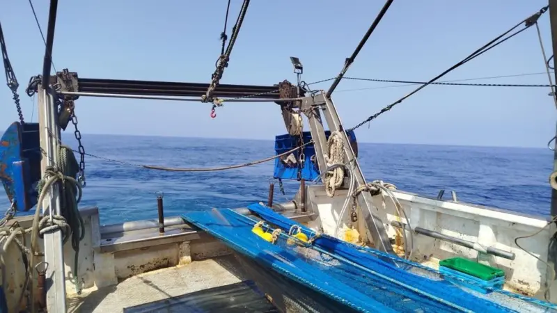 trawl doors