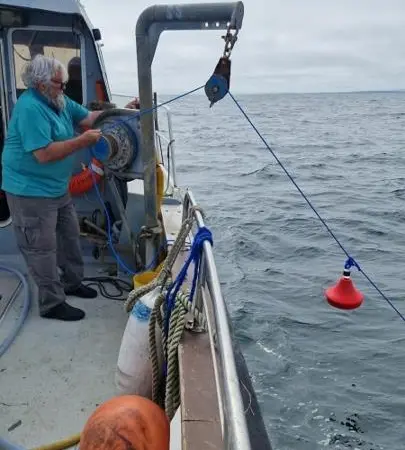 Smart Ocean buoy lowered into water