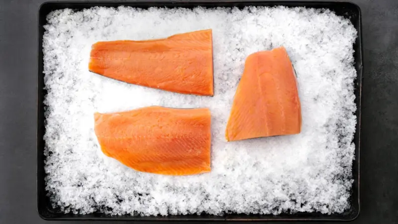 3 salmon fillets on ice