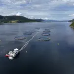 Fish pens at sea