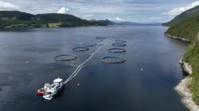 Fish pens at sea