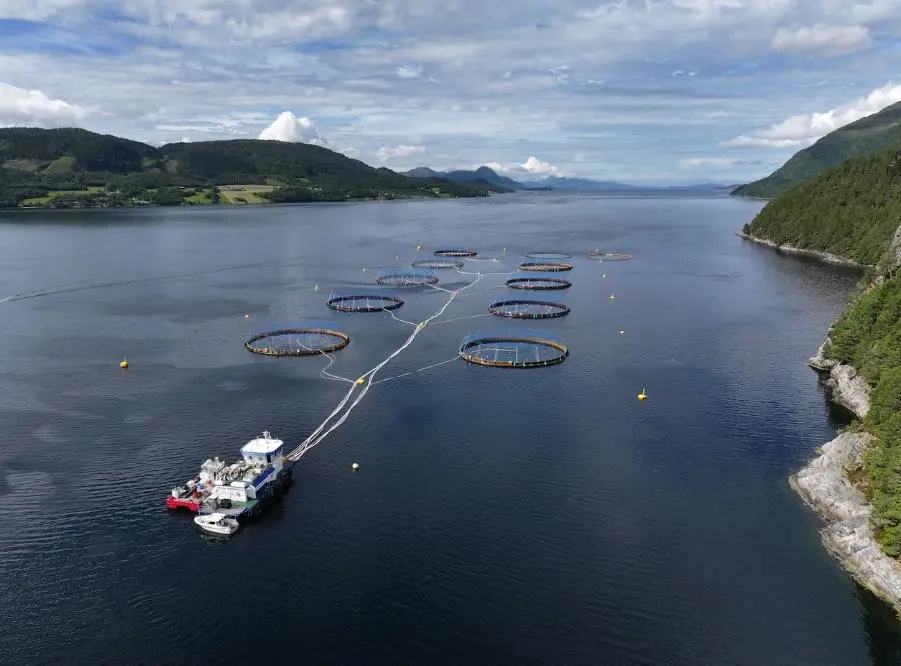Fish pens at sea