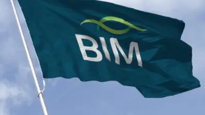bim-7.2