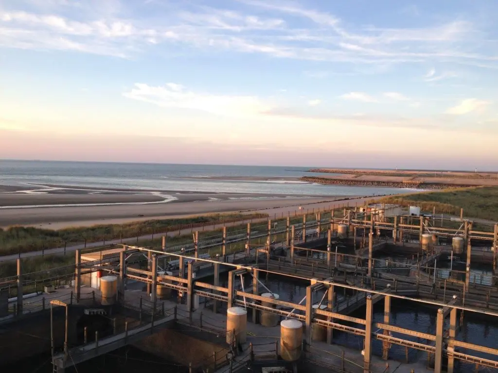 Gloria Maris seabream and seabass farm