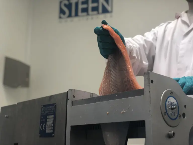 Steen FPM International