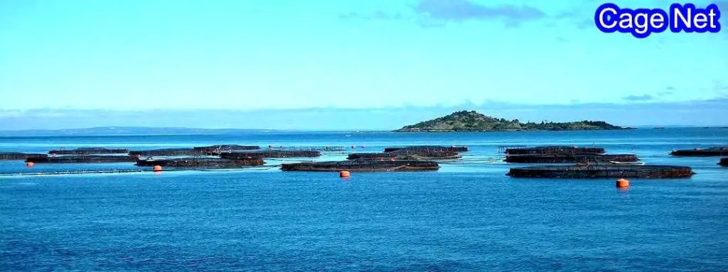King Chou Marine Technology Co Ltd