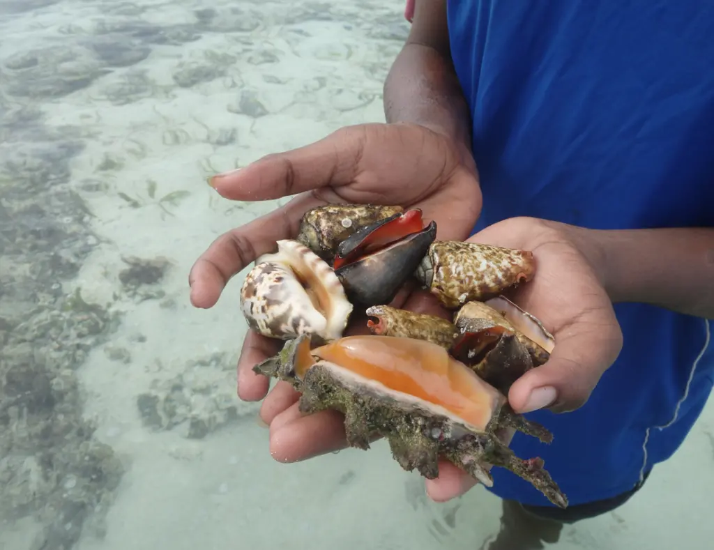 Outstretched hands holding marine invertebrates