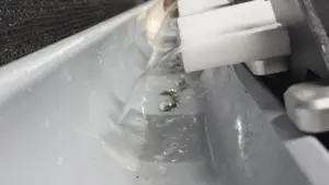 AquaLens AI fish deformity sorter