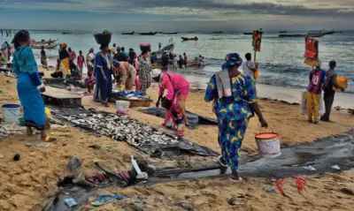A vibrant daily life scene at the Mbour fish market on the Petite Côte (Small Coast), Senegal, West Africa