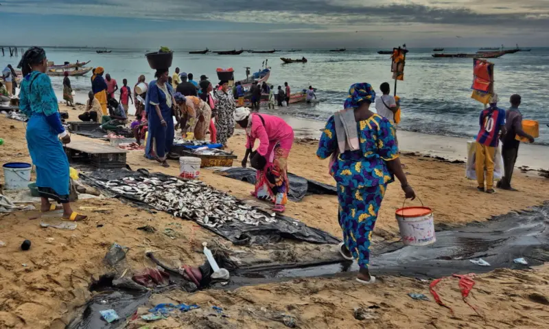 A vibrant daily life scene at the Mbour fish market on the Petite Côte (Small Coast), Senegal, West Africa