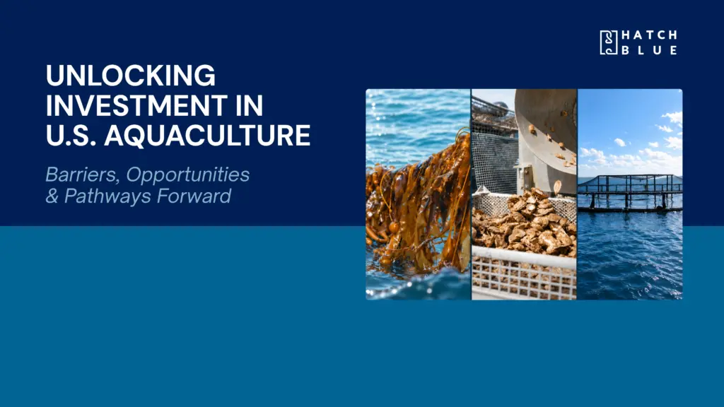 Cover of Hatch Blue report Unlocking investment in US aquaculture