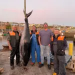 Four fishers stand with a landed bluefin tuna